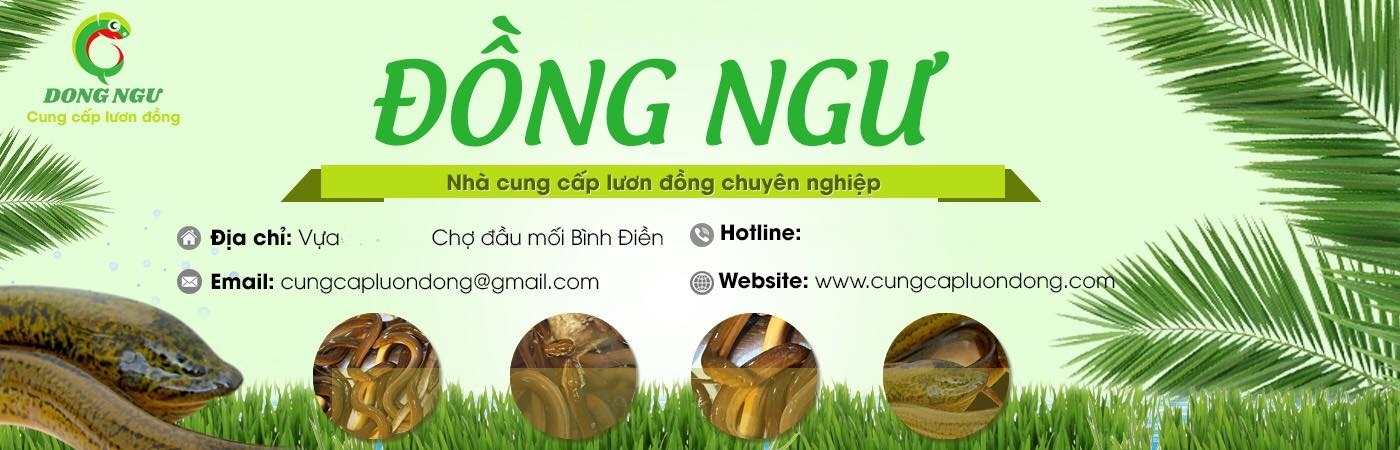 cung cap luon dong website - banner
